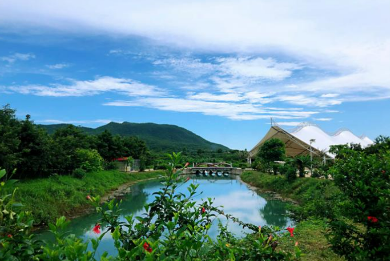 海南自贸港封关在即 花梨谷成全球投资者热土